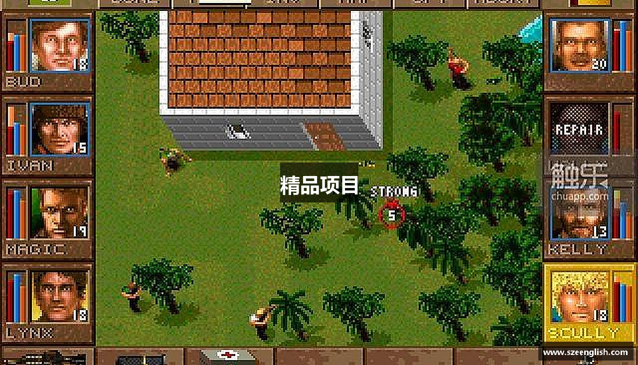 精品项目